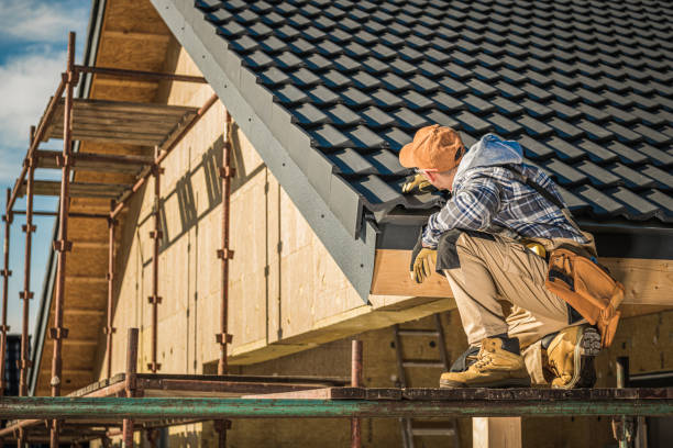 Best Steel Roofing  in Robbinsdale, MN